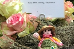 Prämierung schönste Rose