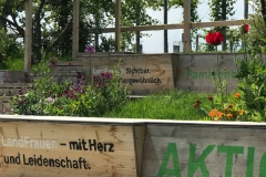 Mit Natur verbunden