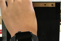 Scharnierband mit Rückwand verschrauben