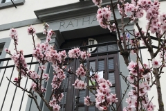 Rathaus Gimmeldingen