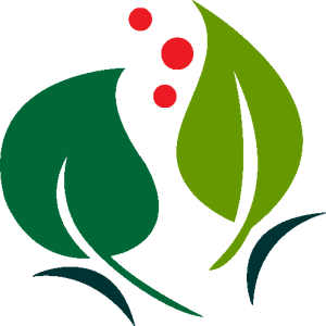 obst und gartenbaufreunde lachen speyerdorf neustadt an der weinstrasse